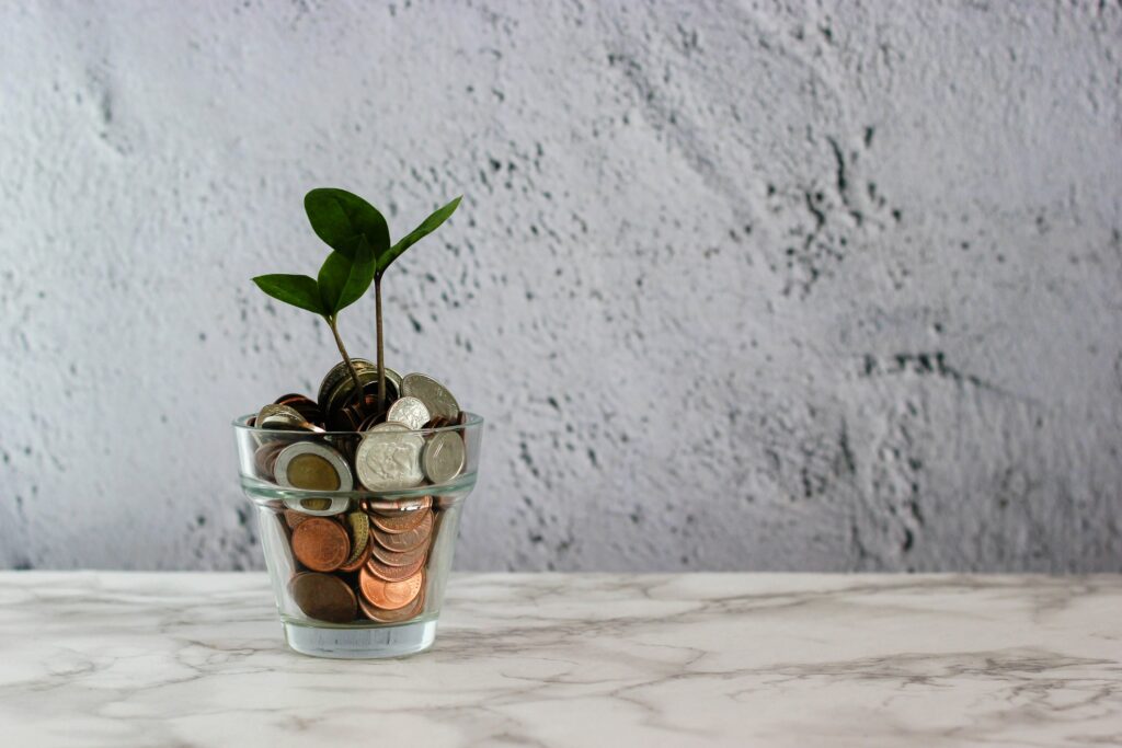 Money tree growing on a desk