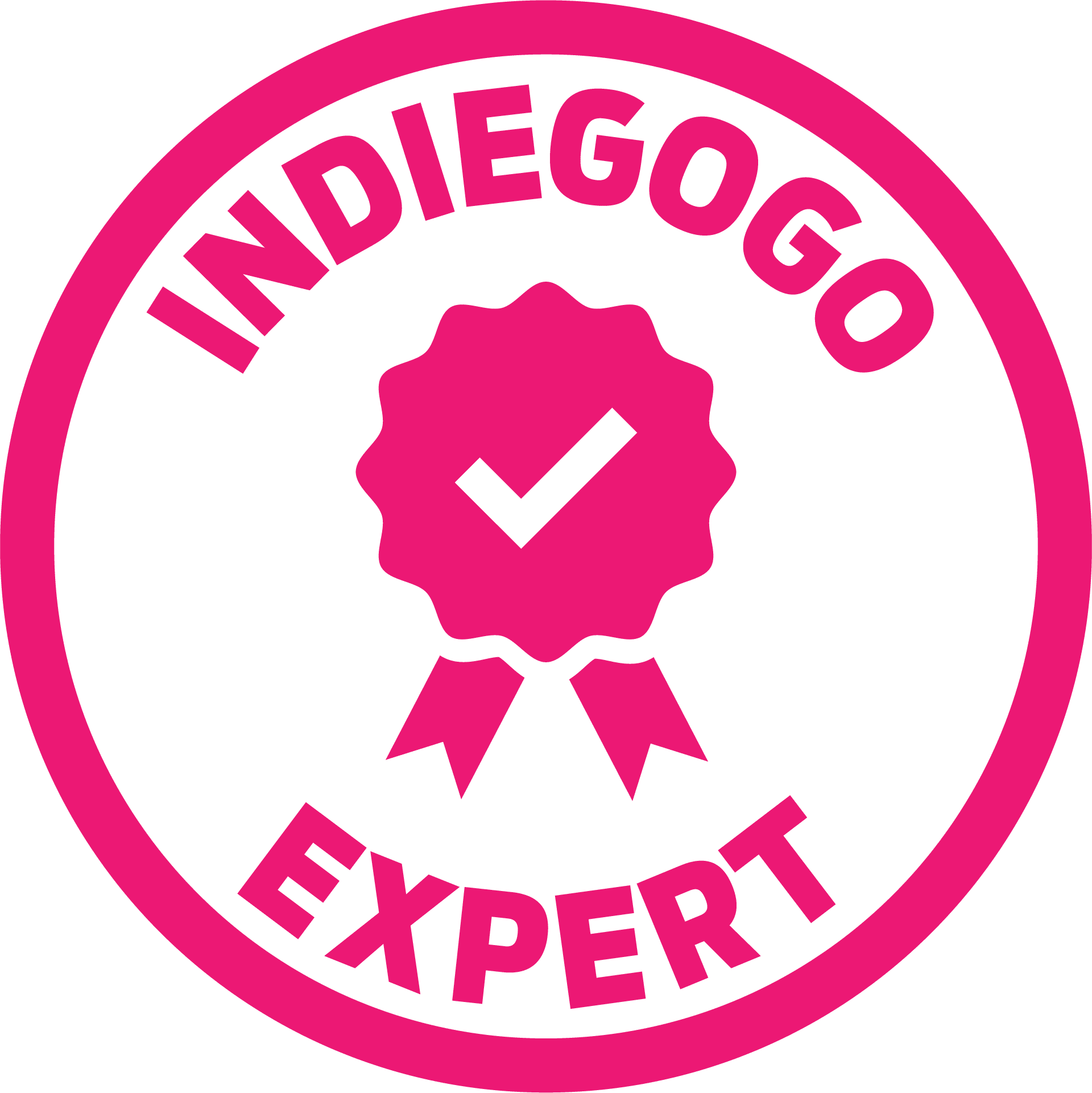 Indiegogo Expert